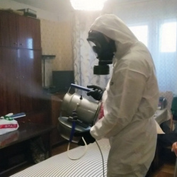Дезинфекция от клопов в Луховицах