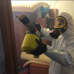 Уничтожение клопов в квартире. Луховицы
